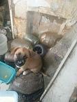     
: IMG_0187.jpg
: 8
:	76.5 
ID:	12174382
