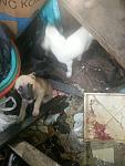     
: IMG_0186.jpg
: 7
:	89.1 
ID:	12174386