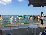     
: IMG_5365.jpg
: 35
:	134.4 
ID:	12177696