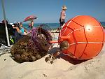     
: IMG_20170720_153725[1].jpg
: 27
:	176.1 
ID:	12179920