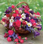     
: 6B15-Flowers-in-Basket.jpg
: 17
:	159.9 
ID:	12181887