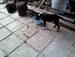     
: IMG180.jpg
: 19
:	150.3 
ID:	12182083