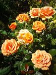     
: 20.07 (10).jpg
: 16
:	71.5 
ID:	12185927