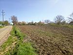     
: P70427-102712(1).jpg
: 10
:	205.7 
ID:	12186343