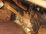     
: IMG_9225_1.JPG
: 19
:	140.6 
ID:	12186467