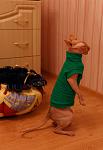     
: IMG_0767.jpg
: 123
:	58.2 
ID:	12188542