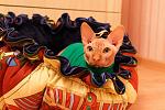     
: IMG_0693.jpg
: 21
:	130.0 
ID:	12188545