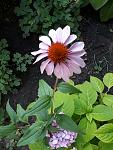     
: 20170715_190536.jpg
: 11
:	126.4 
ID:	12189061