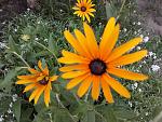     
: 20170717_204948.jpg
: 13
:	165.4 
ID:	12189065