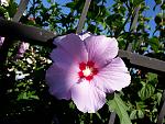     
: 20170715_161525.jpg
: 9
:	149.4 
ID:	12189067