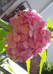     
: 20170715_191425.jpg
: 11
:	73.7 
ID:	12189070