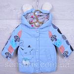     
: IMG_6651.JPG
: 17
:	143.6 
ID:	12189898