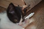     
: DSC_0011.jpg
: 9
:	78.3 
ID:	12190029