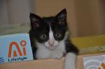     
: DSC_0029.jpg
: 7
:	66.8 
ID:	12190030