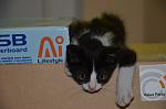     
: DSC_0030.jpg
: 8
:	69.8 
ID:	12190031