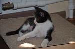     
: DSC_0036.jpg
: 7
:	85.8 
ID:	12190032