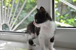     
: DSC_0047.jpg
: 7
:	68.4 
ID:	12190033