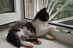     
: DSC_0051.jpg
: 7
:	106.1 
ID:	12190043