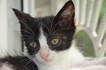     
: DSC_0052.jpg
: 7
:	99.1 
ID:	12190049
