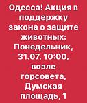    
: media-share-0-02-04-c0a7aa9584b651ff07776584d167fa9bcd0d05b2985884ef40cfb5df36de6ee3-52893ed3-09.jpg
: 127
:	91.9 
ID:	12191439