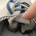     
: IMG_2233.jpg
: 28
:	84.4 
ID:	12193878