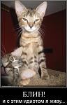     
: Demotive_15.jpg
: 55
:	53.9 
ID:	12194314