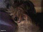     
: dcf37cd54ee6.jpg
: 14
:	76.6 
ID:	121948