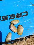     
: IMG_20170731_131149[1].jpg
: 187
:	106.4 
ID:	12196886