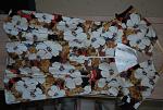     
: DSC_0007.jpg
: 20
:	127.5 
ID:	12199800