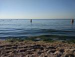     
: IMG_20170802_074604.jpg
: 39
:	184.9 
ID:	12200934