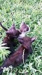     
: ___20170719_180413.jpg
: 37
:	142.1 
ID:	12201827