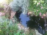     
: 20170630_145614.jpg
: 12
:	243.0 
ID:	12202011