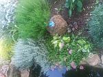     
: 20170630_145641.jpg
: 11
:	256.8 
ID:	12202012