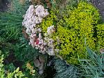     
: 20170620_200238.jpg
: 10
:	308.3 
ID:	12202014