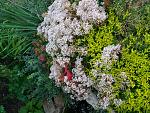     
: 20170620_200246.jpg
: 15
:	309.3 
ID:	12202015