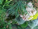     
: 20170620_200409.jpg
: 11
:	306.7 
ID:	12202017