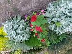     
: 20170620_200344.jpg
: 8
:	302.0 
ID:	12202019