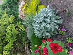     
: 20170620_200313.jpg
: 12
:	303.0 
ID:	12202021