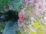     
: 20170630_145727.jpg
: 11
:	283.7 
ID:	12202024