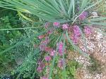     
: 20170630_145709.jpg
: 9
:	226.7 
ID:	12202026