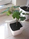     
: IMG_9651.jpg
: 16
:	58.2 
ID:	12202481