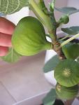     
: IMG_9646.jpg
: 15
:	58.6 
ID:	12202482