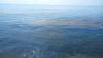     
: P70803-100903.jpg
: 44
:	110.1 
ID:	12204282