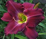     
: IMG_5424.jpg
: 140
:	127.9 
ID:	12205564