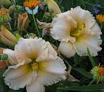     
: IMG_0337.jpg
: 23
:	124.5 
ID:	12205586
