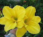     
: IMG_5465.jpg
: 22
:	106.6 
ID:	12205590