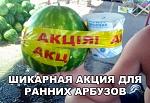     
: R7kWBPALdsc.jpg
: 19
:	84.7 
ID:	12205993