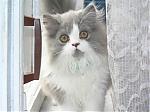    
: P9242550.jpg
: 14
:	112.9 
ID:	122061