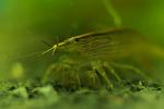     
: DSC_00411.jpg
: 12
:	72.5 
ID:	12206959