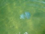     
: DSC04663.jpg
: 35
:	90.1 
ID:	12207258